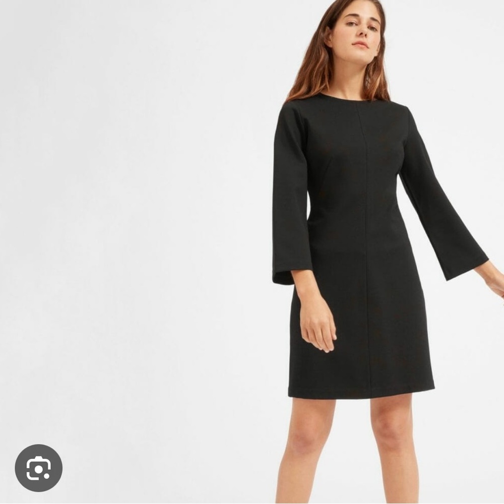 Everlane Classic Black Long Sleeve Dress